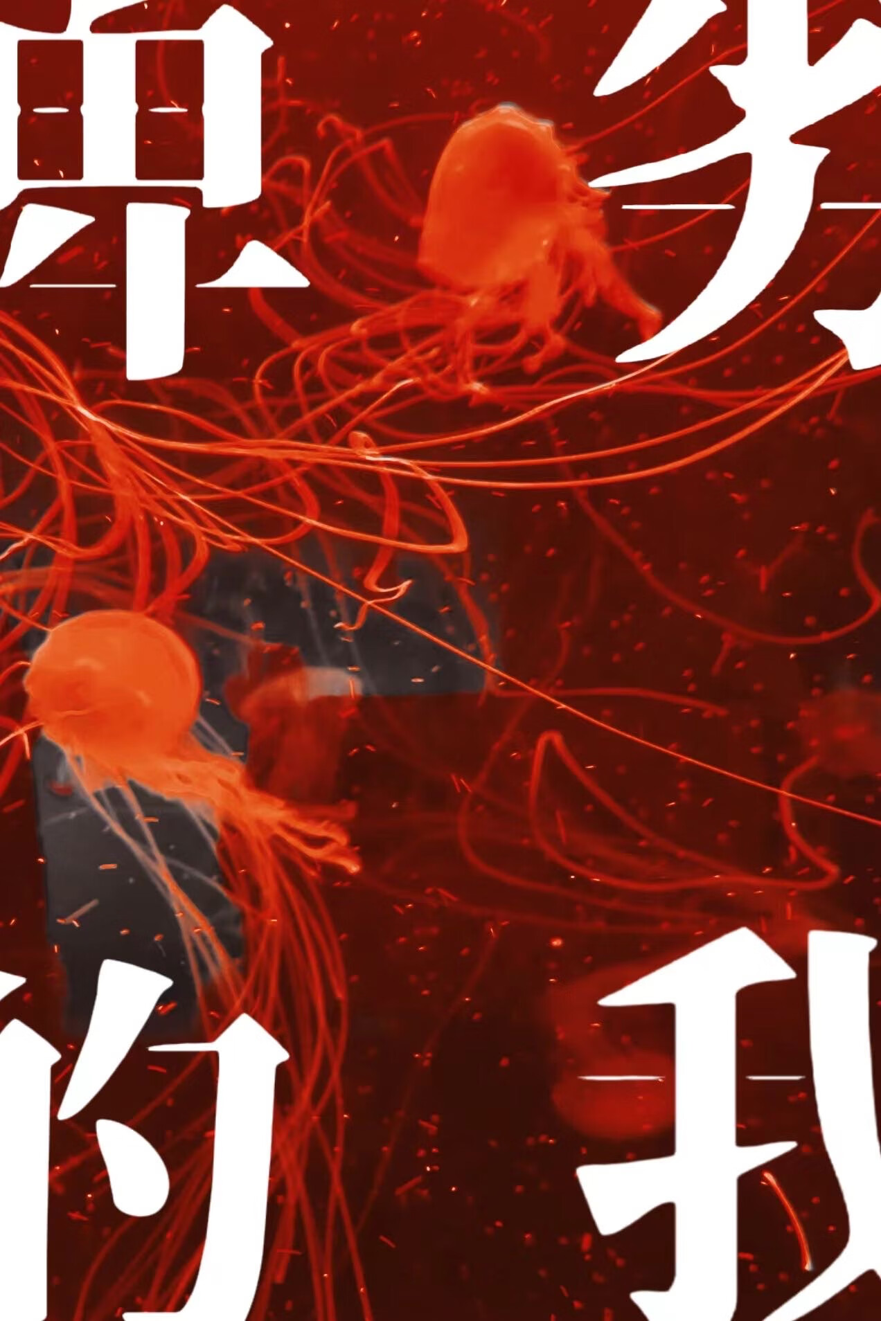 卑劣的我和反派师尊