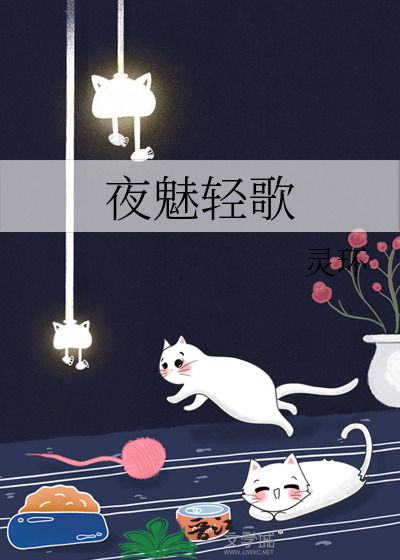 小说夜轻歌